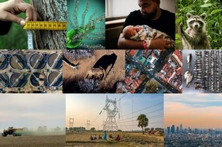 collage of various pictures.